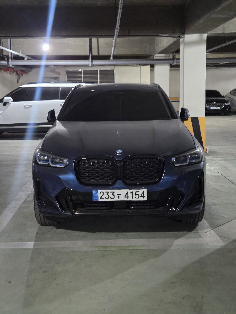 BMW X4(2세대) xDrive20d M Sport Pro